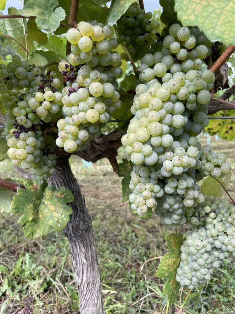 Kaixo Bilbao - Images (49)