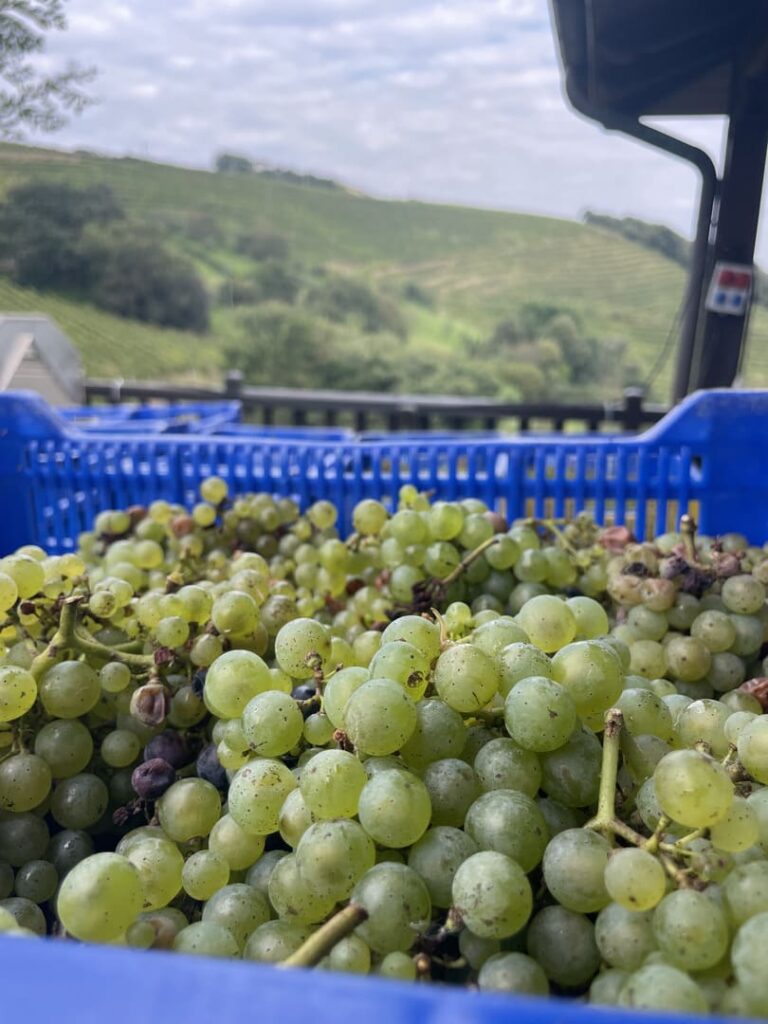 Kaixo Bilbao - Images (59)